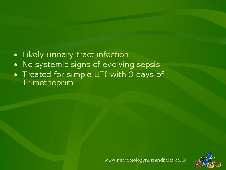  • Likely urinary tract infection • No systemic signs of evolving sepsis •