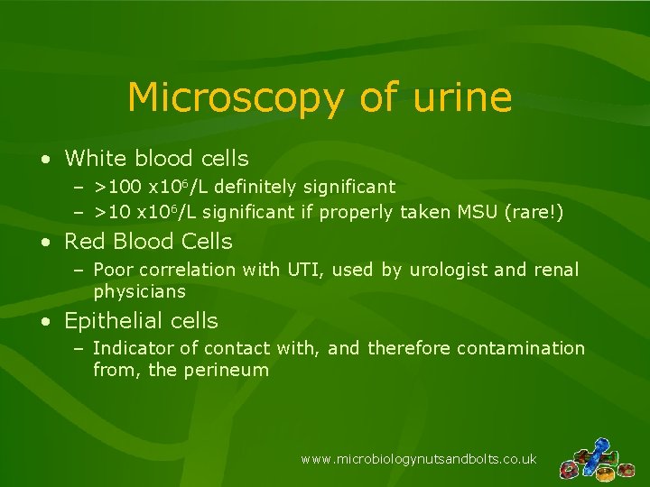 Microscopy of urine • White blood cells – >100 x 106/L definitely significant –