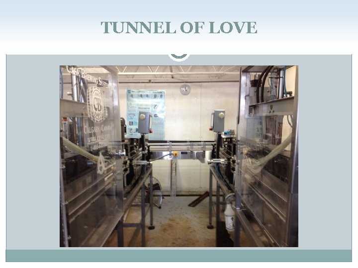 TUNNEL OF LOVE 