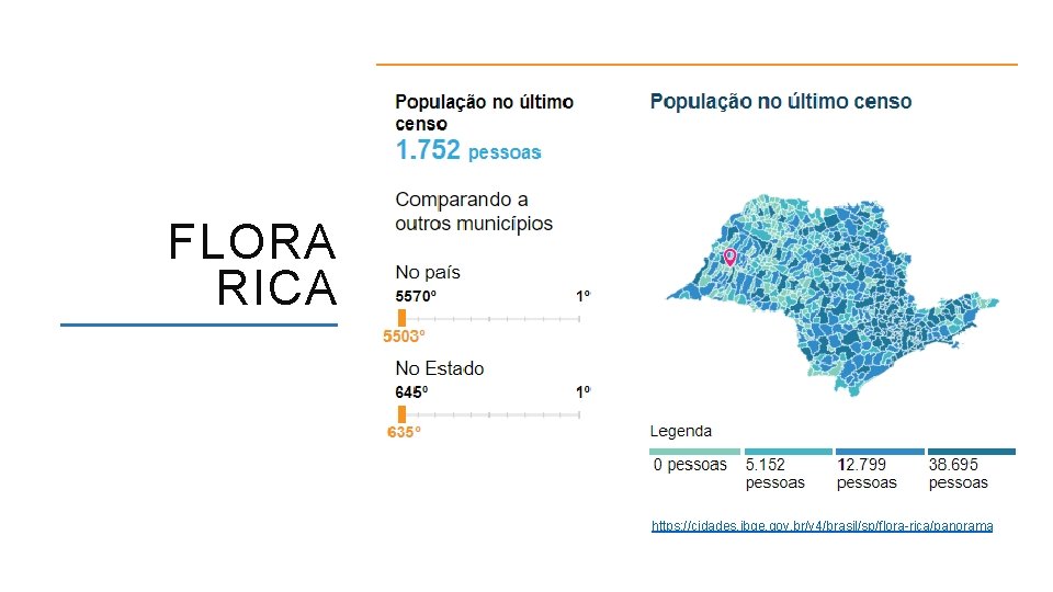 FLORA RICA https: //cidades. ibge. gov. br/v 4/brasil/sp/flora-rica/panorama ACESSO A FORMAÇÃO INICIAL E CONTINUADA