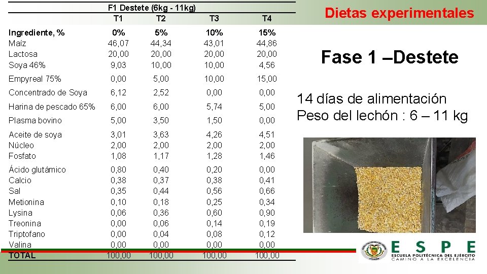 F 1 Destete (6 kg - 11 kg) T 1 T 2 T 3