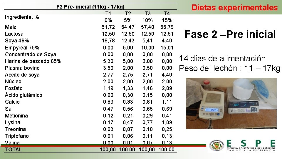 F 2 Pre- inicial (11 kg - 17 kg) T 1 T 2 T