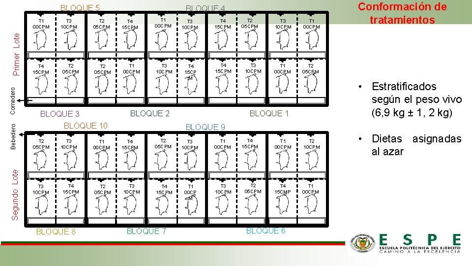 BLOQUE 5 Segundo Lote Bebedero Comedero Primer Lote T 1 00 CPM T 4