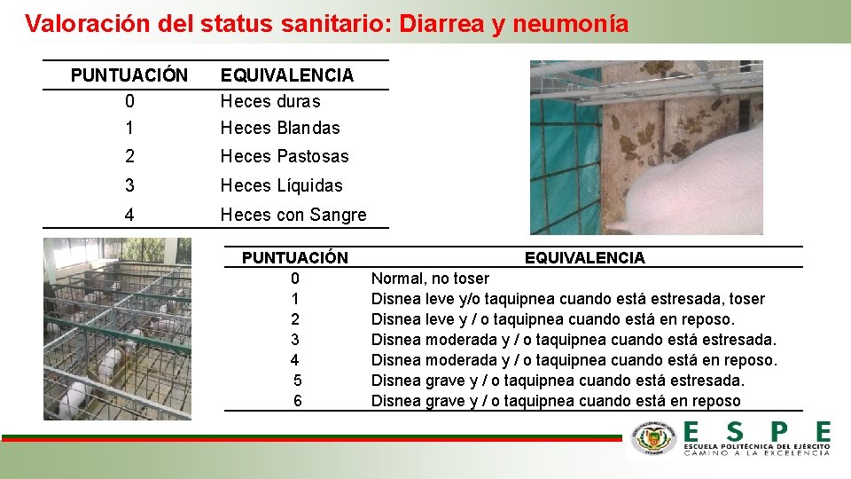 Valoración del status sanitario: Diarrea y neumonía PUNTUACIÓN 0 1 EQUIVALENCIA Heces duras Heces