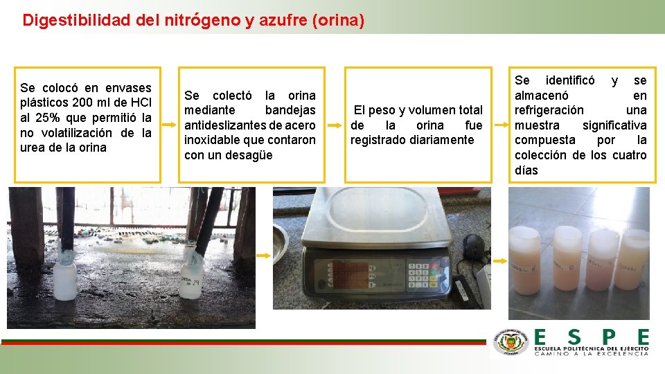 Digestibilidad del nitrógeno y azufre (orina) Se colocó en envases plásticos 200 ml de