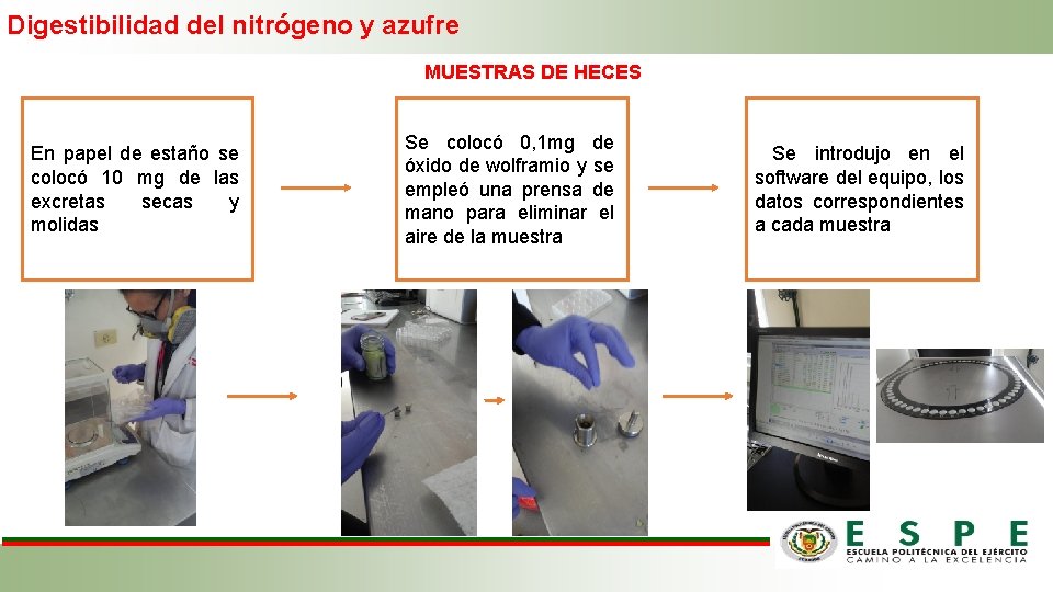 Digestibilidad del nitrógeno y azufre MUESTRAS DE HECES En papel de estaño se colocó