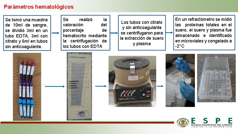 Parámetros hematológicos Se tomó una muestra de 10 ml de sangre, se dividió 3