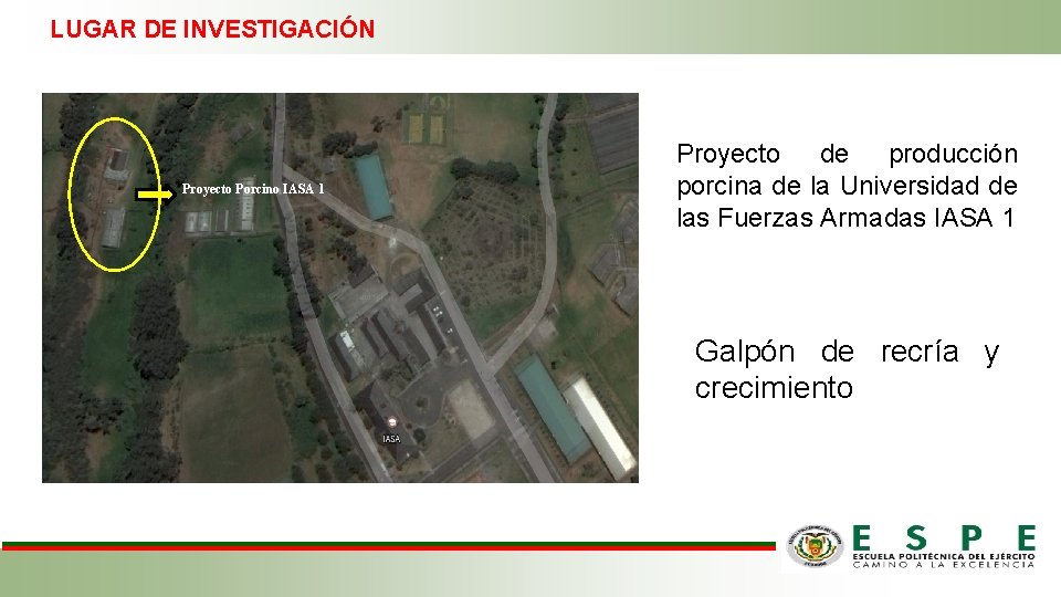 LUGAR DE INVESTIGACIÓN Proyecto Porcino IASA 1 Proyecto de producción porcina de la Universidad