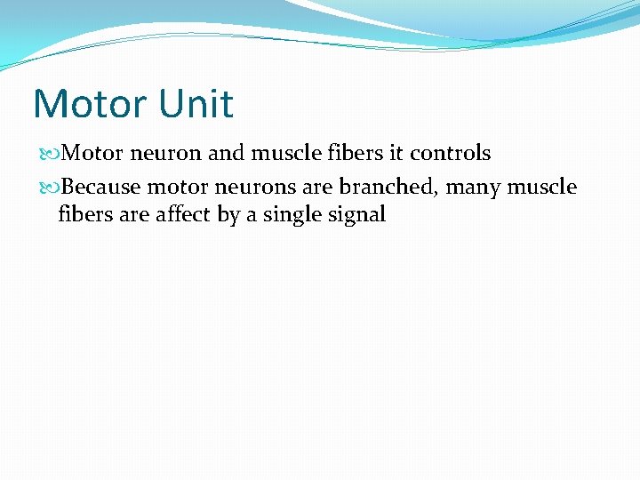 Motor Unit Motor neuron and muscle fibers it controls Because motor neurons are branched,