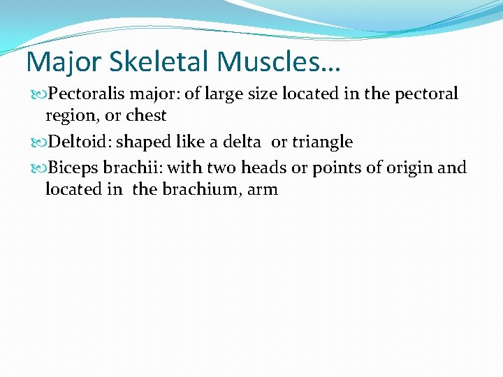 Major Skeletal Muscles… Pectoralis major: of large size located in the pectoral region, or