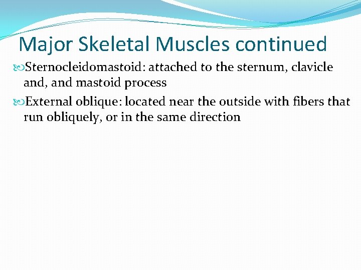 Major Skeletal Muscles continued Sternocleidomastoid: attached to the sternum, clavicle and, and mastoid process