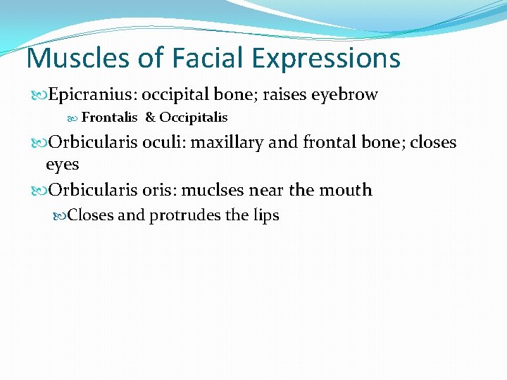 Muscles of Facial Expressions Epicranius: occipital bone; raises eyebrow Frontalis & Occipitalis Orbicularis oculi:
