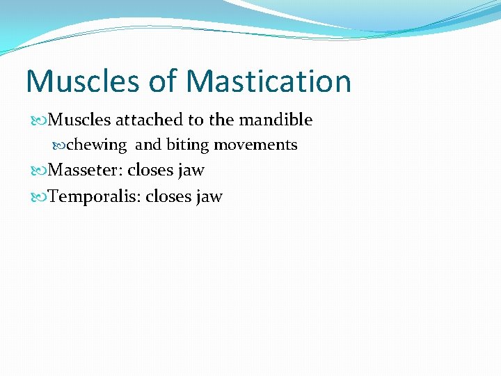 Muscles of Mastication Muscles attached to the mandible chewing and biting movements Masseter: closes