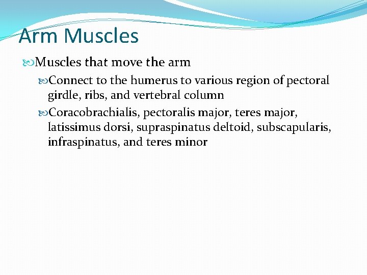 Arm Muscles that move the arm Connect to the humerus to various region of