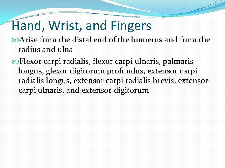 Hand, Wrist, and Fingers Arise from the distal end of the humerus and from