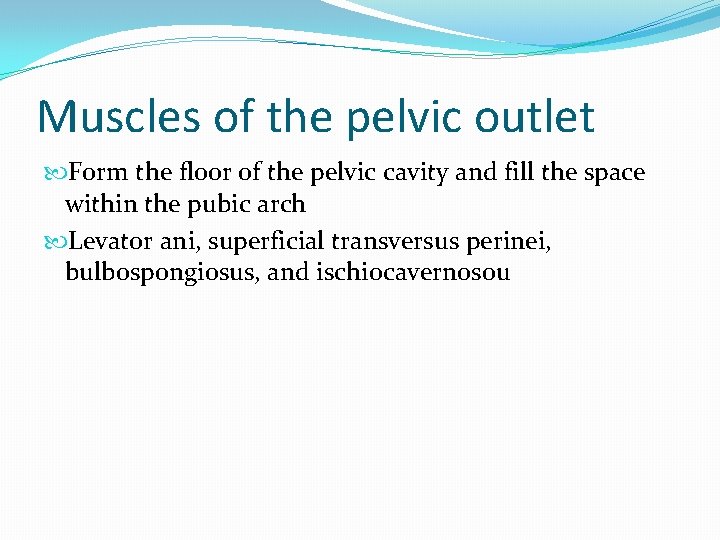 Muscles of the pelvic outlet Form the floor of the pelvic cavity and fill