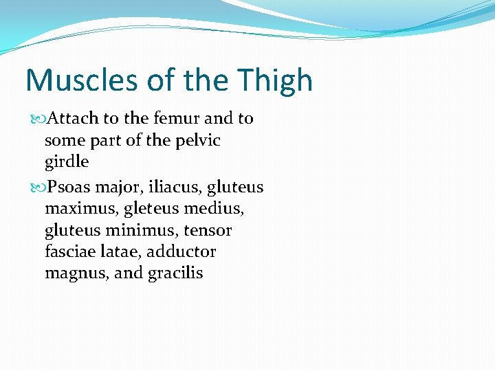 Muscles of the Thigh Attach to the femur and to some part of the