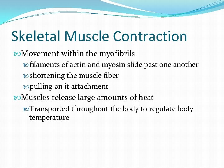 Skeletal Muscle Contraction Movement within the myofibrils filaments of actin and myosin slide past