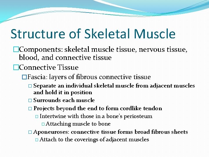 Structure of Skeletal Muscle �Components: skeletal muscle tissue, nervous tissue, blood, and connective tissue