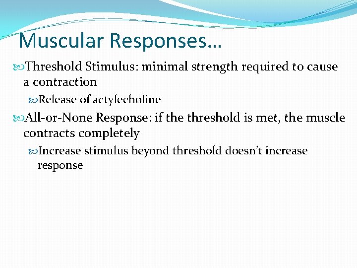 Muscular Responses… Threshold Stimulus: minimal strength required to cause a contraction Release of actylecholine