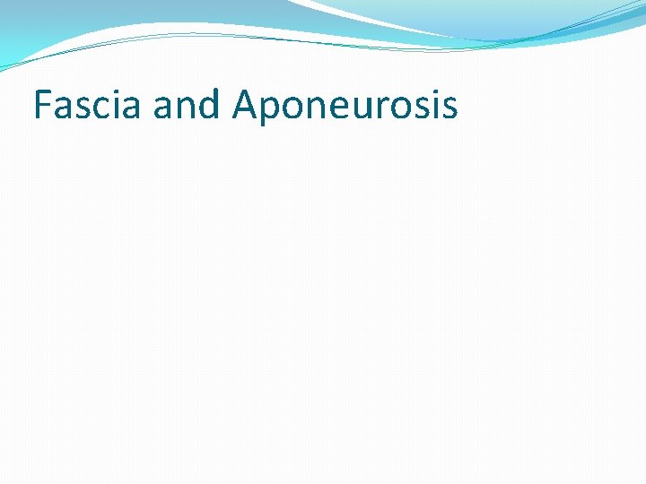 Fascia and Aponeurosis 