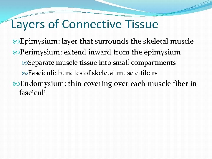 Layers of Connective Tissue Epimysium: layer that surrounds the skeletal muscle Perimysium: extend inward