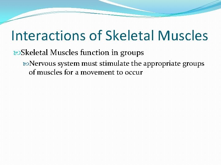 Interactions of Skeletal Muscles function in groups Nervous system must stimulate the appropriate groups