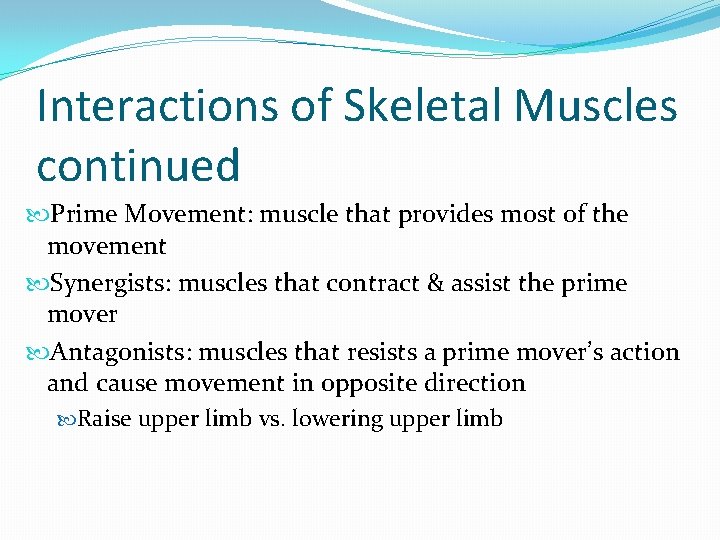 Interactions of Skeletal Muscles continued Prime Movement: muscle that provides most of the movement