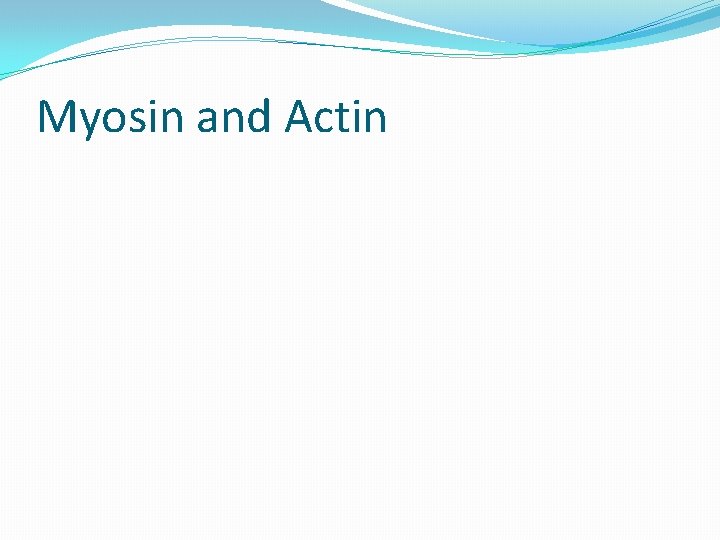 Myosin and Actin 