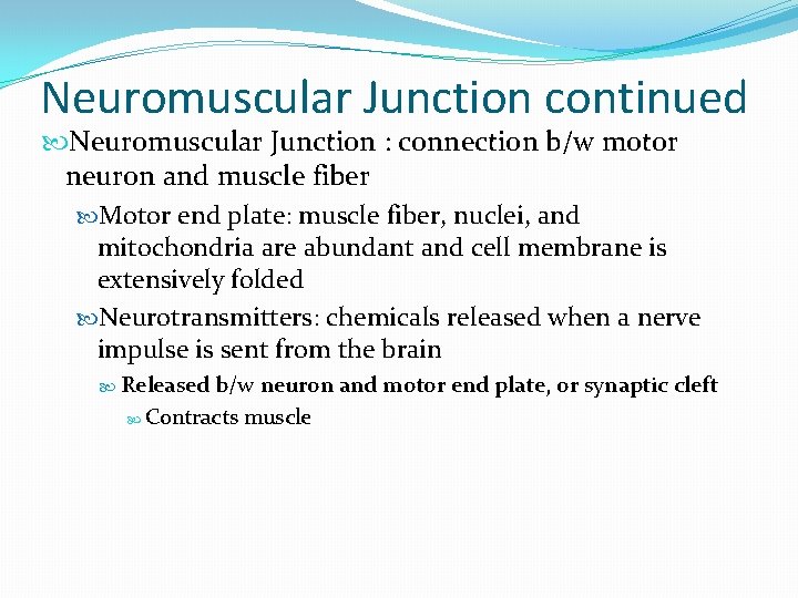 Neuromuscular Junction continued Neuromuscular Junction : connection b/w motor neuron and muscle fiber Motor