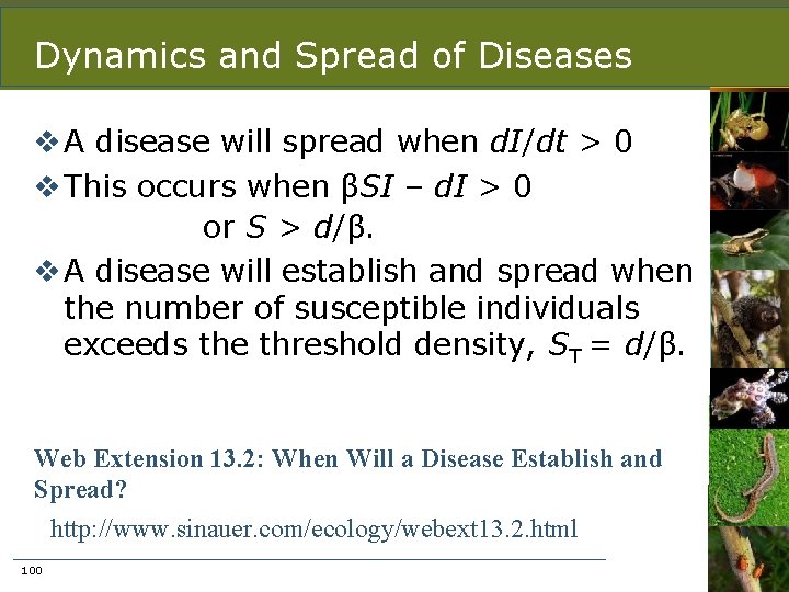 Dynamics and Spread of Diseases v A disease will spread when d. I/dt >