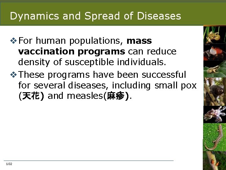 Dynamics and Spread of Diseases v For human populations, mass vaccination programs can reduce