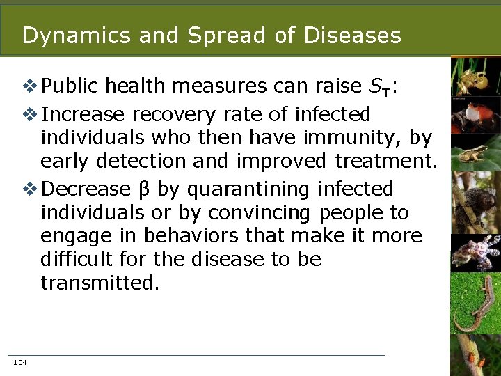 Dynamics and Spread of Diseases v Public health measures can raise ST: v Increase