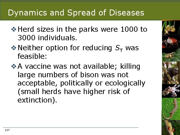 Dynamics and Spread of Diseases v Herd sizes in the parks were 1000 to