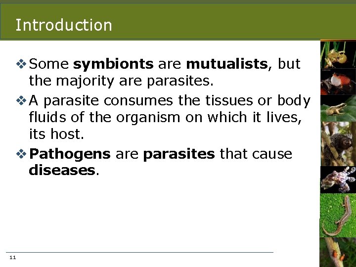 Introduction v Some symbionts are mutualists, but the majority are parasites. v A parasite