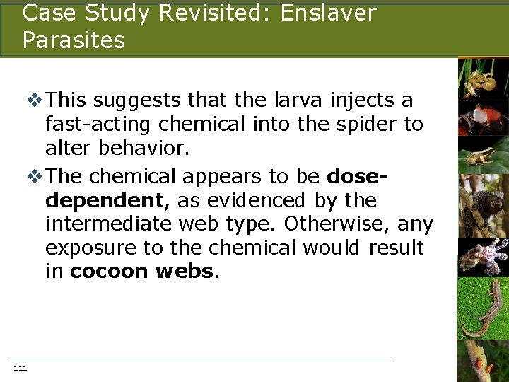 Case Study Revisited: Enslaver Parasites v This suggests that the larva injects a fast-acting