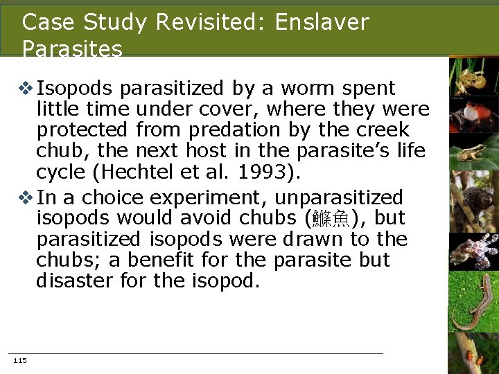 Case Study Revisited: Enslaver Parasites v Isopods parasitized by a worm spent little time