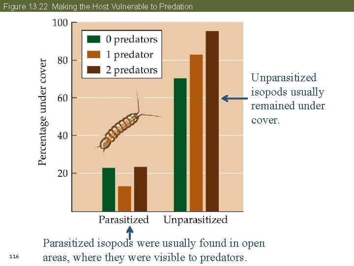 Figure 13. 22 Making the Host Vulnerable to Predation Unparasitized isopods usually remained under
