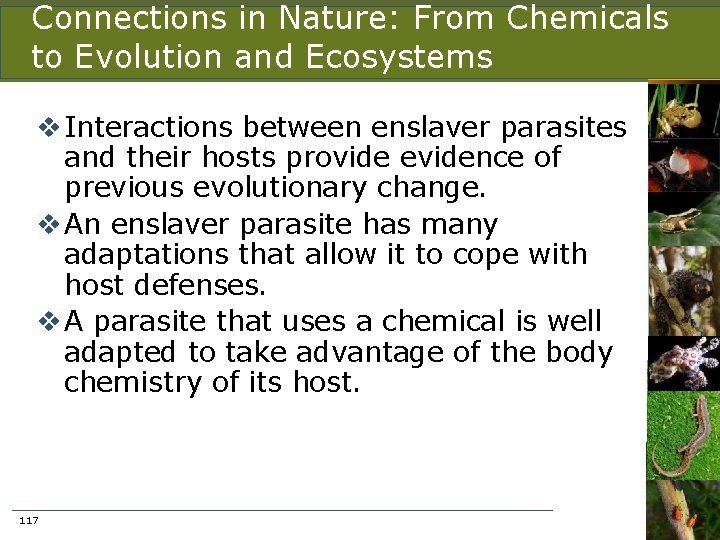 Connections in Nature: From Chemicals to Evolution and Ecosystems v Interactions between enslaver parasites