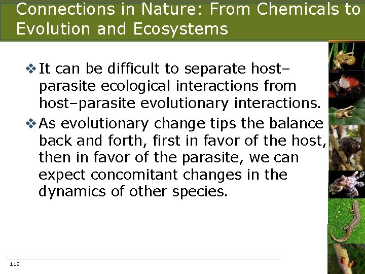 Connections in Nature: From Chemicals to Evolution and Ecosystems v It can be difficult