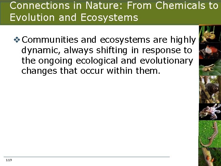 Connections in Nature: From Chemicals to Evolution and Ecosystems v Communities and ecosystems are