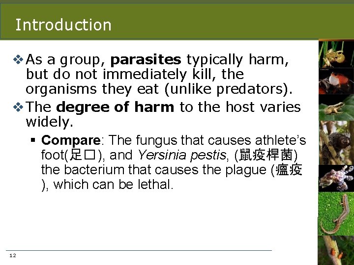 Introduction v As a group, parasites typically harm, but do not immediately kill, the