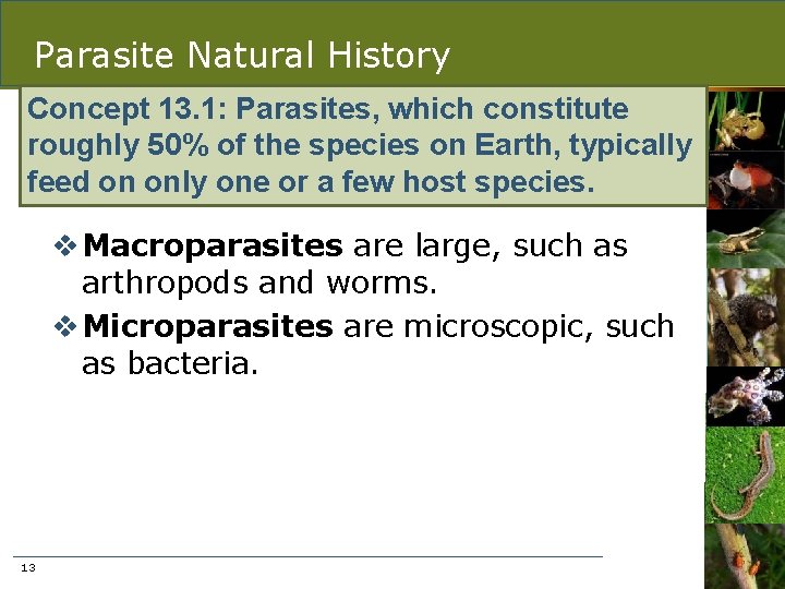 Parasite Natural History Concept 13. 1: Parasites, which constitute roughly 50% of the species