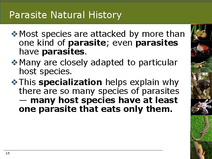 Parasite Natural History v Most species are attacked by more than one kind of