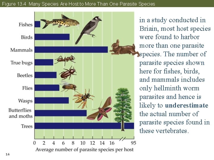 Figure 13. 4 Many Species Are Host to More Than One Parasite Species in