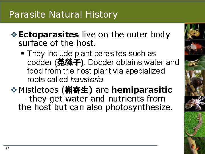 Parasite Natural History v Ectoparasites live on the outer body surface of the host.