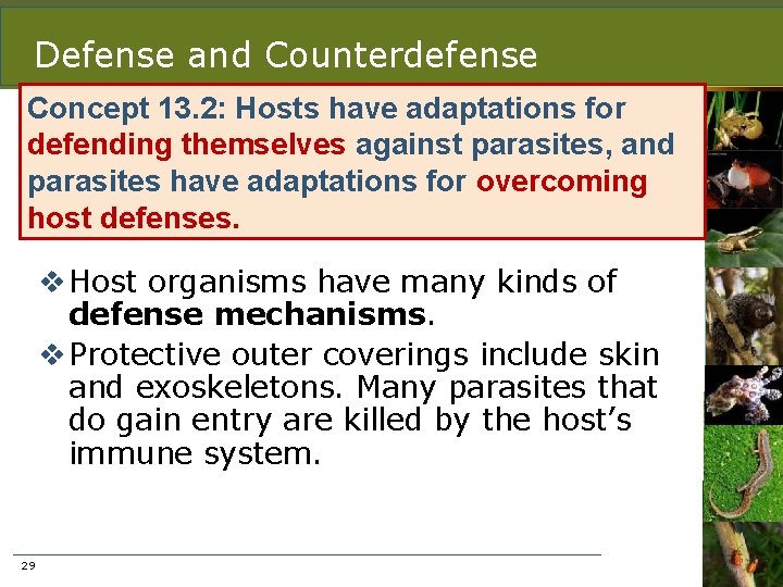Defense and Counterdefense Concept 13. 2: Hosts have adaptations for defending themselves against parasites,