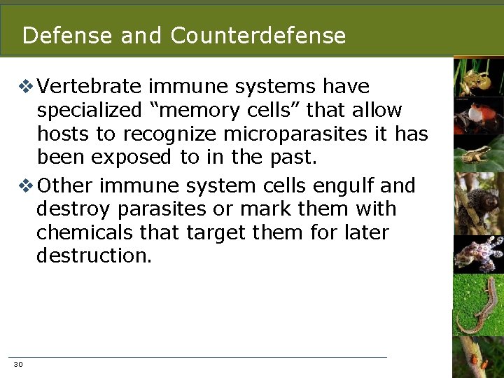 Defense and Counterdefense v Vertebrate immune systems have specialized “memory cells” that allow hosts