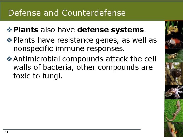 Defense and Counterdefense v Plants also have defense systems. v Plants have resistance genes,