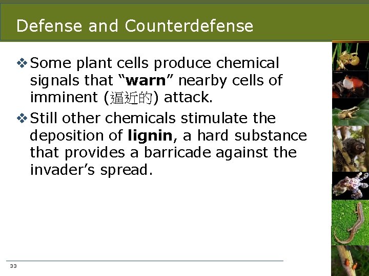 Defense and Counterdefense v Some plant cells produce chemical signals that “warn” nearby cells